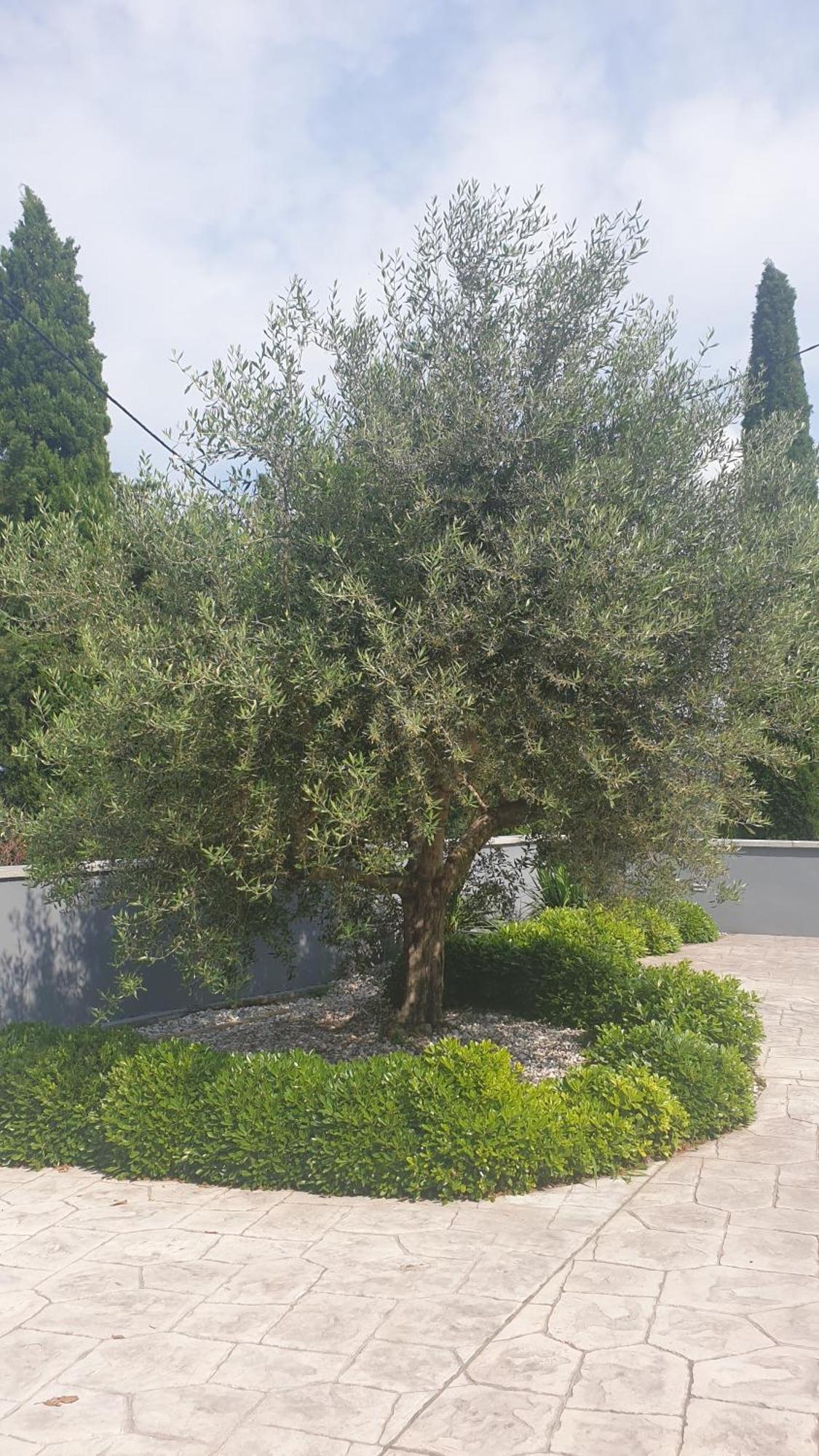 Apartma Pata, Koper - Cezarji Buitenkant foto